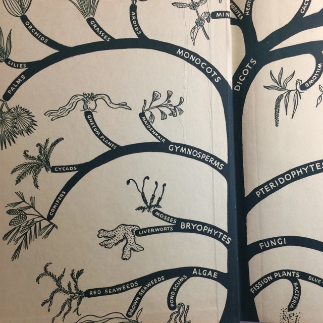 1947 "The World of Plant Life" Book For Sale - Image 4 of 11