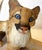 Vintage C1991 Lenox Smithsonian Institution 'Florida Panther Cub' Porcelain Figure For Sale - Image 11 of 13