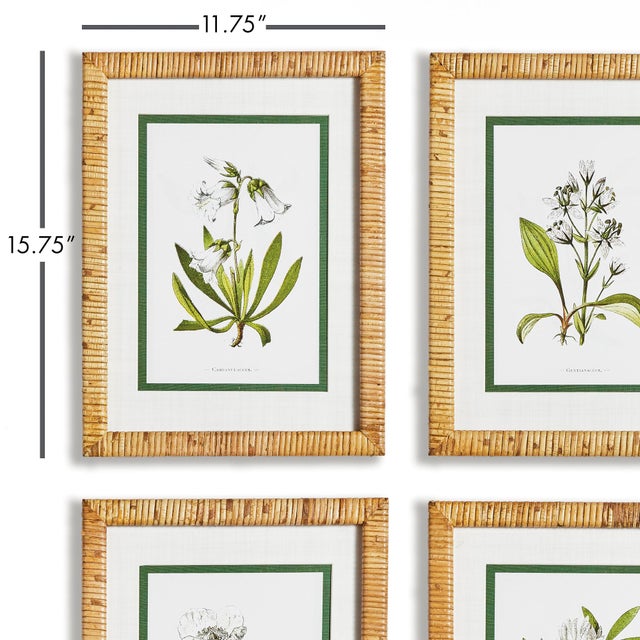 Four different types of florals all inWhite are rendered here in classical style. Finished with real mats and a...