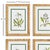 Four different types of florals all inWhite are rendered here in classical style. Finished with real mats and a...