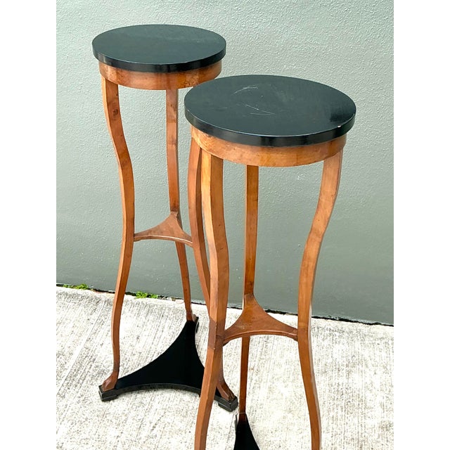 Brown Vintage Biedermeier Tall Pedestals - A Pair For Sale - Image 8 of 12