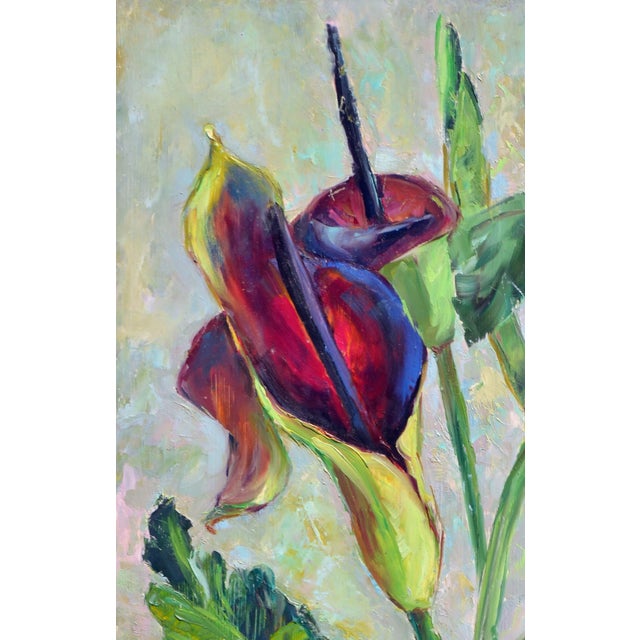 Mid Century Modern Burgundy Calla Lilies in Oil on Masonite Gorgeous still life of burgundy calla lilies by listed artist...