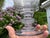 Large Georgian Dutch Flint Glass Rummer with Engraved Windmill & Farmhouse, 1750 For Sale - Image 6 of 14