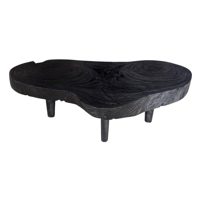 Andrianna Shamaris Amorphous Single Slab Mid Century Modern Coffee Table For Sale