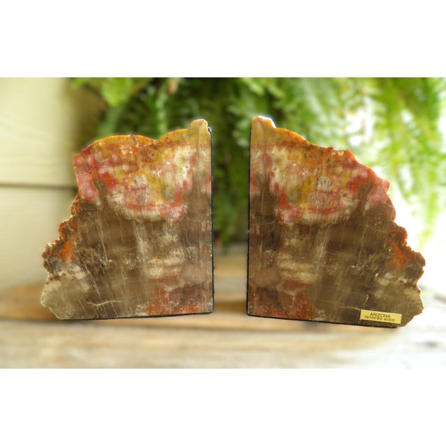 Amazing Arizona Rainbow Petrified Wood Bookends Cut and polished from fossilized trees (typically from the extinct...