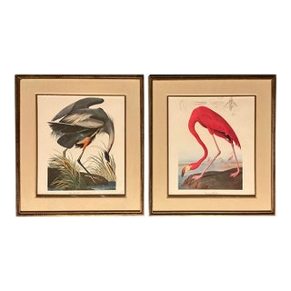 Pair. Of Original Prints John James Audubon the American Flamingo and the Great Blue Heron Double Giltwood Rope Framed Linen Matte. For Sale