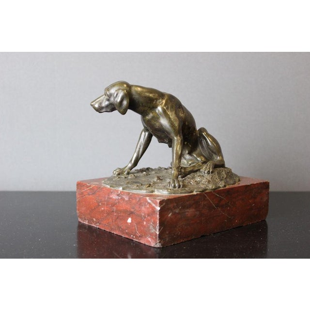 19th Century Bronze Hunting Dog Figurine For Sale - Image 9 of 14