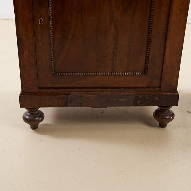 Antique Plate Cabinets, 1800s, Set of 2 For Sale - Image 4 of 10