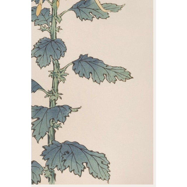 Not Yet Made - Made To Order Yellow Mum by Hasegawa, Vintage Japanese Botanical Art Print, 40" X 60" For Sale - Image 5 of 10