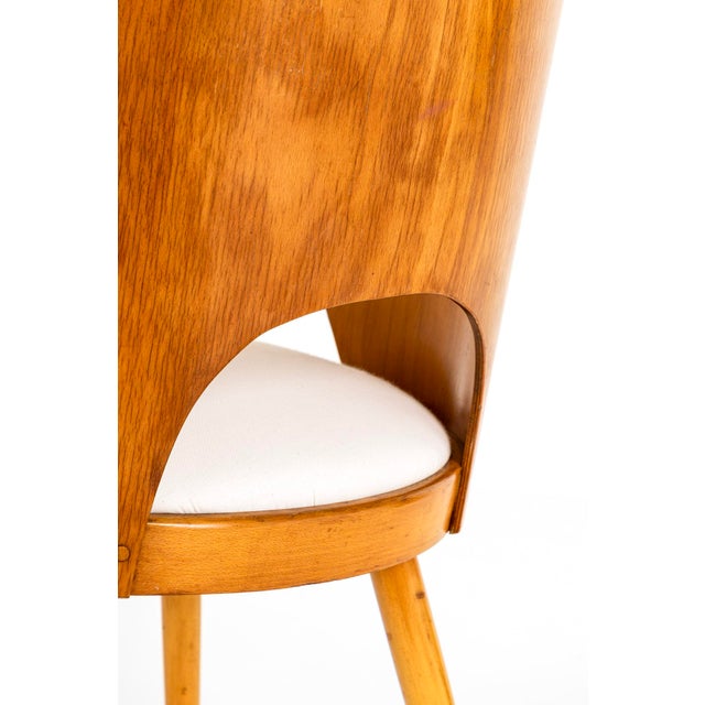 Brown Dining Chairs by Oswald Haerdtl for Ligna, Set of 4 For Sale - Image 8 of 15