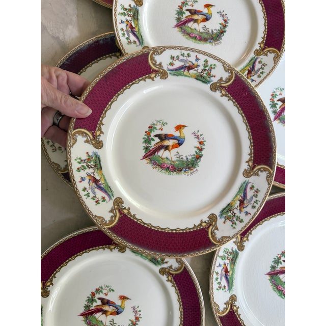 Art Deco 1940s Myott Chelsea Bird Dinner Plates 9 7/8” Burgundy Transferware England - Set of Eight (8) For Sale - Image 3 of 12