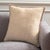 Rhea Pillow - Natural / Brown - 20" x 20" For Sale - Image 4 of 4