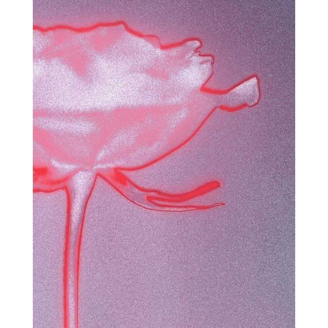 Rose glow' Printed on Hahnemühle photo rag Baryta 308 Gsm fine art paper, these limited edition photographs are designed...