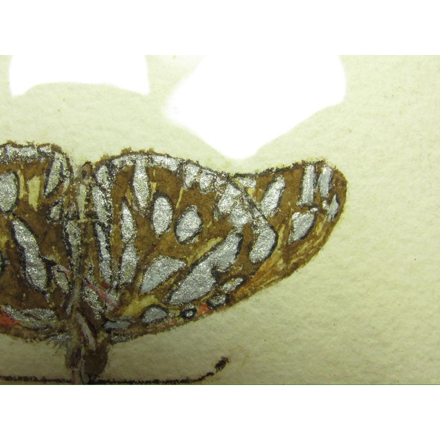 Pair of Antique English Framed Moth Paintings For Sale - Image 14 of 18