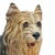 Vintage Mid-Century Italian Style Plaster Yorkie Figurine Enamel 16.5" For Sale - Image 10 of 13