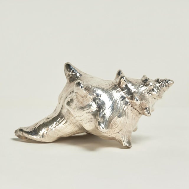 Mid-Century Modern Mid Century Italian Sterling Coated Seashell by Federico Buccellati For Sale - Image 3 of 7