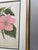 1950s Vintage Botanical Prints Set of 2 - Authentic 1953 Prints For Sale - Image 5 of 5