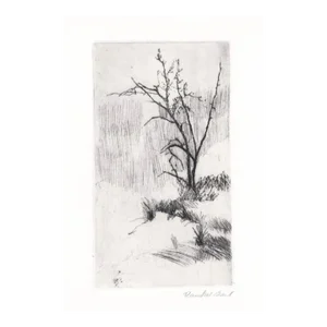 David Baird Landscape Etching
