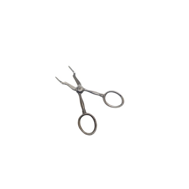 1920s Art Nouveau Danish Grapes Scissors, 1920s For Sale - Image 5 of 7
