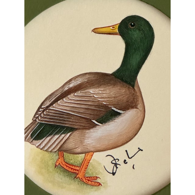 This miniature hand-painted painting captures the elegance of a Mallard in breathtaking detail. Every brushstroke,...