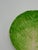 Late 19th Century Eb Napoli Italian Majolica Lettuceware Plates - Set of Four For Sale - Image 10 of 16