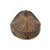 Early 20th Century Early 20th Century Yoruba Mask with Bird Wood Nigeria For Sale - Image 5 of 8