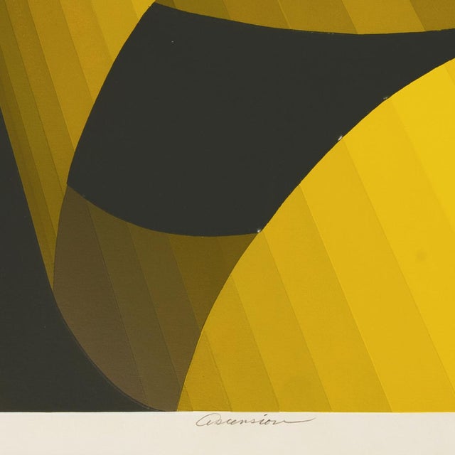 'Ascension' by Roy Alhlgren, 1978, Optical Illusion Abstract Screen Print, Pennsylvania Academy of Fine Art For Sale - Image 4 of 9