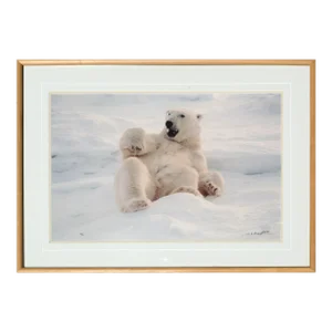 "Feels Good" Polar Bear Photograph - Signed and Numbered Limited Edition by Thomas Mangelsen