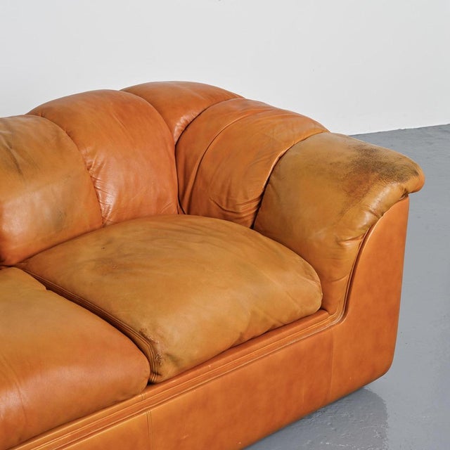 Cocker Leather Sofa by Franco Bresciani for Poltrona Frau, 1970s For Sale - Image 11 of 16