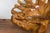 Brown Vintage Rustic Chinese Camphor Wood Tree Root Armchair with Light Varnish For Sale - Image 8 of 12