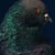 Contemporary Contemporary Limited Edition Black Modena Bronze Shield Pigeon by Brendan Burden (32x40") For Sale - Image 3 of 4