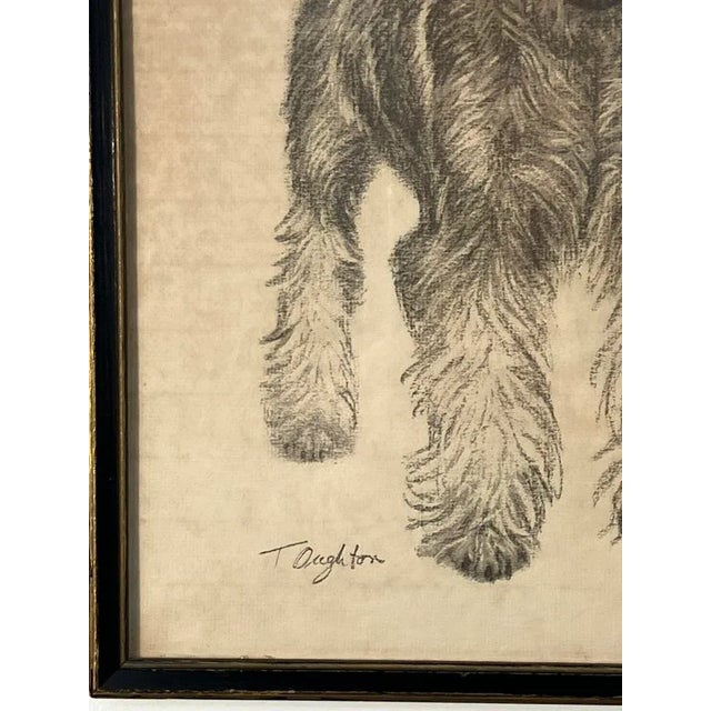 Portraiture Vintage 1974 Dog Portrait Drawing by T. Daughton – Schnauzer Pet Portrait-'Henry' For Sale - Image 3 of 4