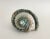 Marbled Turbo Marmoratus Shell For Sale - Image 10 of 10