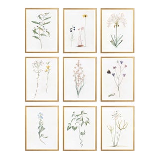 Celerie Kemble Curated Australian Botanical Set of 9 (16X20) in Gold Frame For Sale