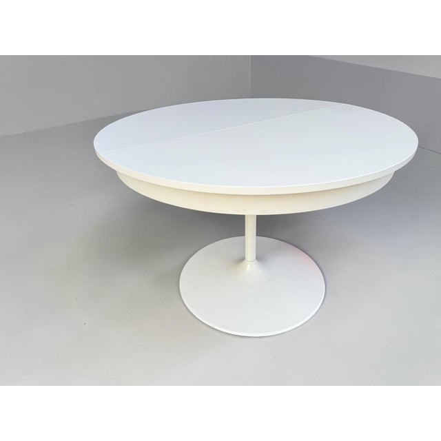Space Age the Cherry Chairs and Expandable Tulip Table by Luigi Colani for Lusch & Co, 1970s, Set of 5 For Sale - Image 15 of 18