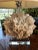 Contemporary Ribbon Coral and Lucite Coastal Palm Beach Table Lamp For Sale - Image 4 of 9
