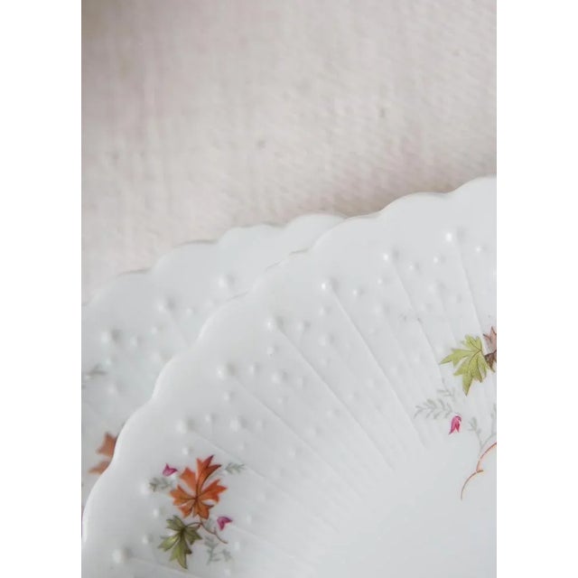 Dishes and Source from Limoges, 1950s, Set of 19 For Sale - Image 10 of 12