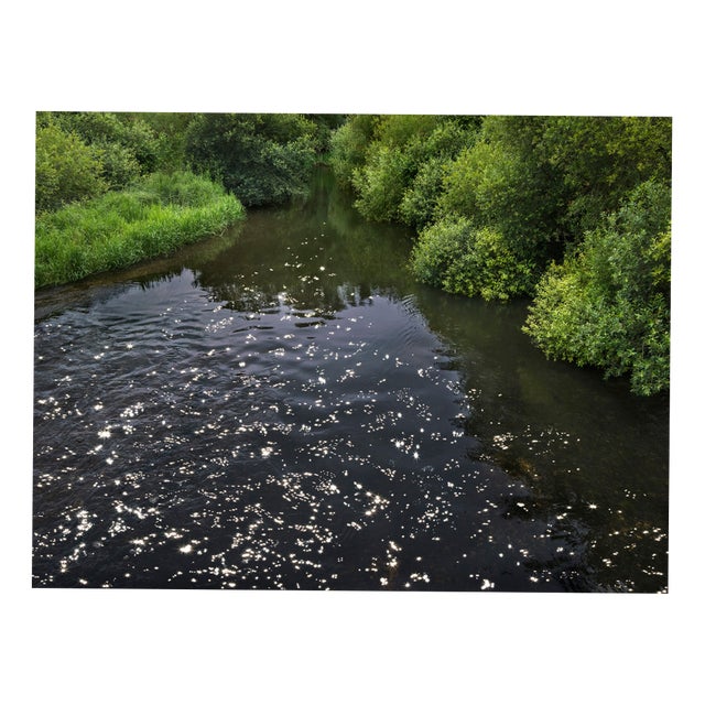 Ellie Davies, Chalk Streams 4, 2023, Print For Sale