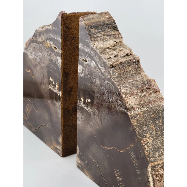Wood Antique & Unique Set of Polished Petrified Wood Bookends. Amazing Specimen. For Sale - Image 7 of 14