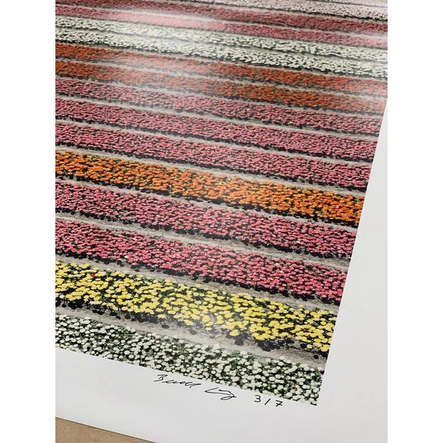 "AV_Tulip_Fields_028" Contemporary Aerial View Limited Edition Photograph by Bernhard Lang For Sale - Image 9 of 11