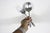 Mid-Century Modern 1950s Mid-Century Modern Set of Silverplate Serving Utensils Evening Star by Oneida Casserole Spoon Fork Two 2 For Sale - Image 3 of 6