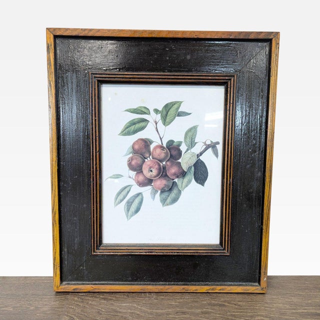 Set of 3 Framed Fruit Botanical Prints - Classic Wall Art For Sale - Image 4 of 7
