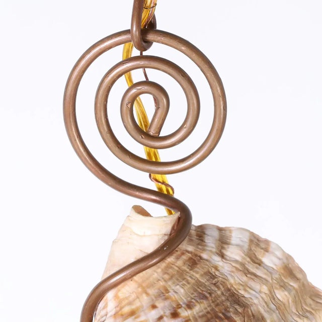 Pair of Triton Shell Pendants For Sale - Image 4 of 8