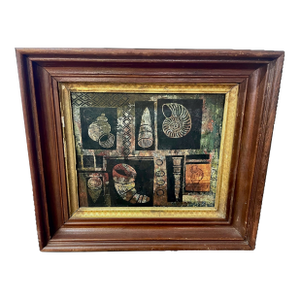 Mid 20thC, Painting of Seashells With Collage
