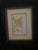 Vintage Mid-Century Mark Catesby "The Balsam Tree" Framed Botanical Print, 1950s For Sale - Image 9 of 12