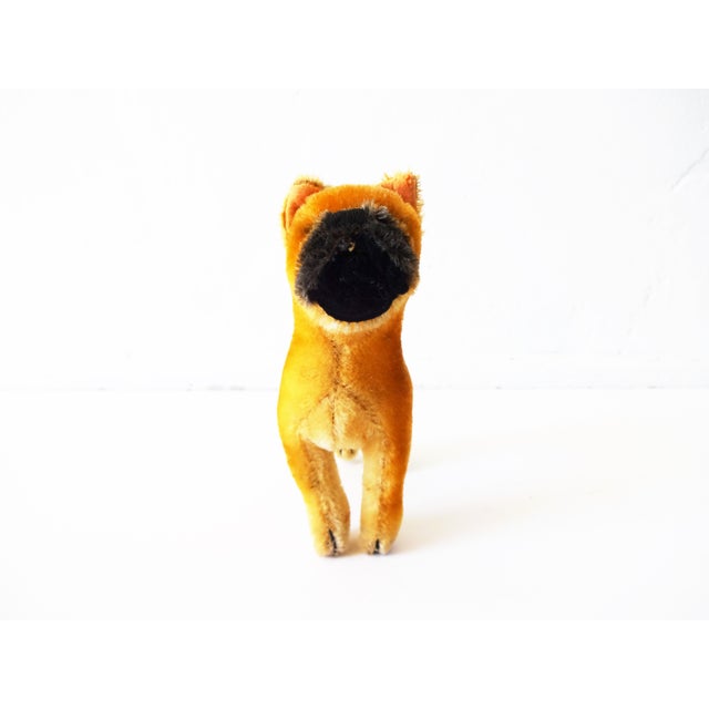 シュタイフ★Boxer 17cm★ボクサー/犬/ドッグ/立ちポーズ★Steiff シュタイフ☆Boxer 17cm☆ボクサー/犬/ドッグ/立ちポーズ