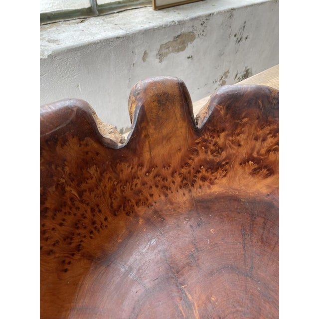 Cedar Root Wooden Flat Dish, 1950s For Sale - Image 14 of 18