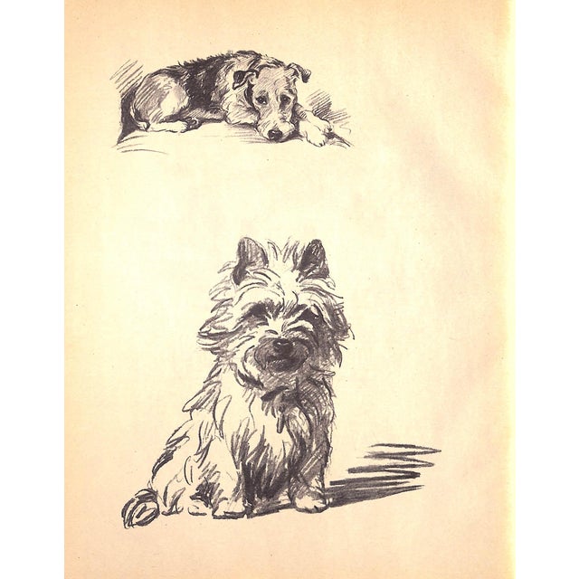 1930s "Dogs as I See Them" 1937 Dawson, Lucy For Sale - Image 5 of 10