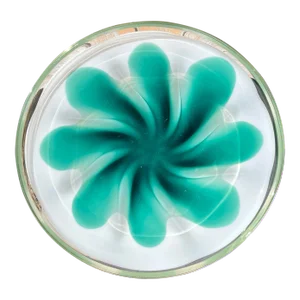1955 Paul Kedelv for Flygsfors Coquille Milky White and Green Glass Plate
