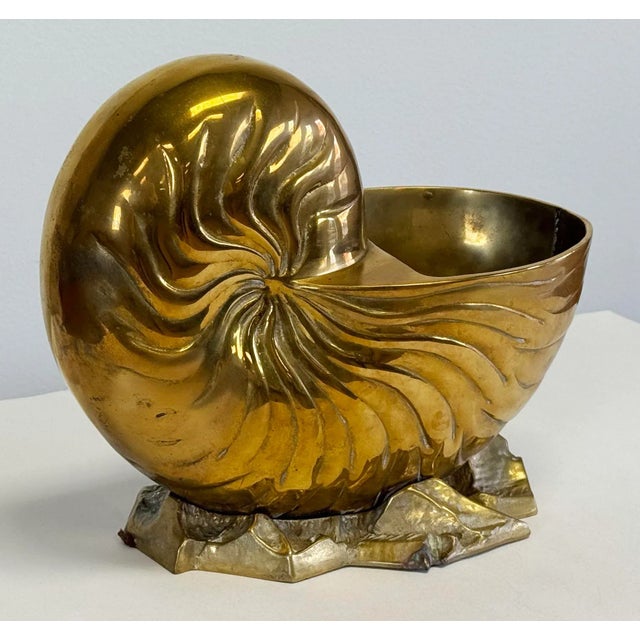 Large Vintage Solid Brass Nautilus Shell Planter Cachepot or Bottle Chiller For Sale - Image 12 of 12
